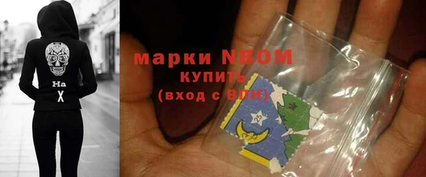 индика Киренск