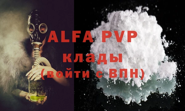 индика Киренск