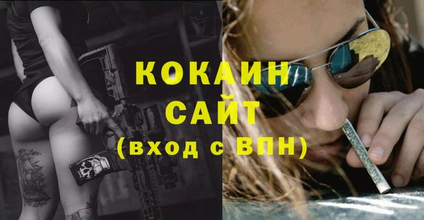 дмт Касимов
