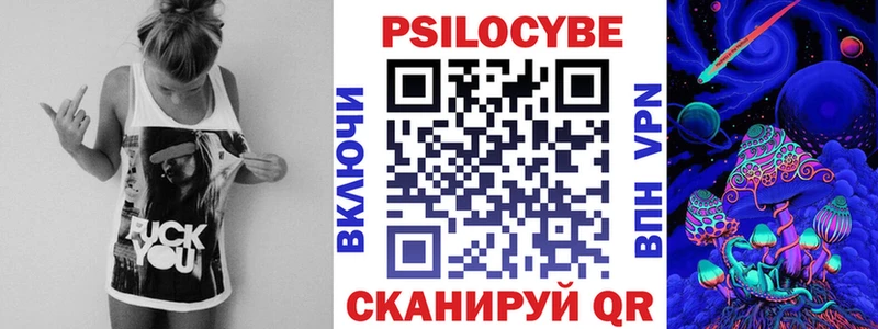 цена наркотик  Кедровый  Псилоцибиновые грибы Magic Shrooms 